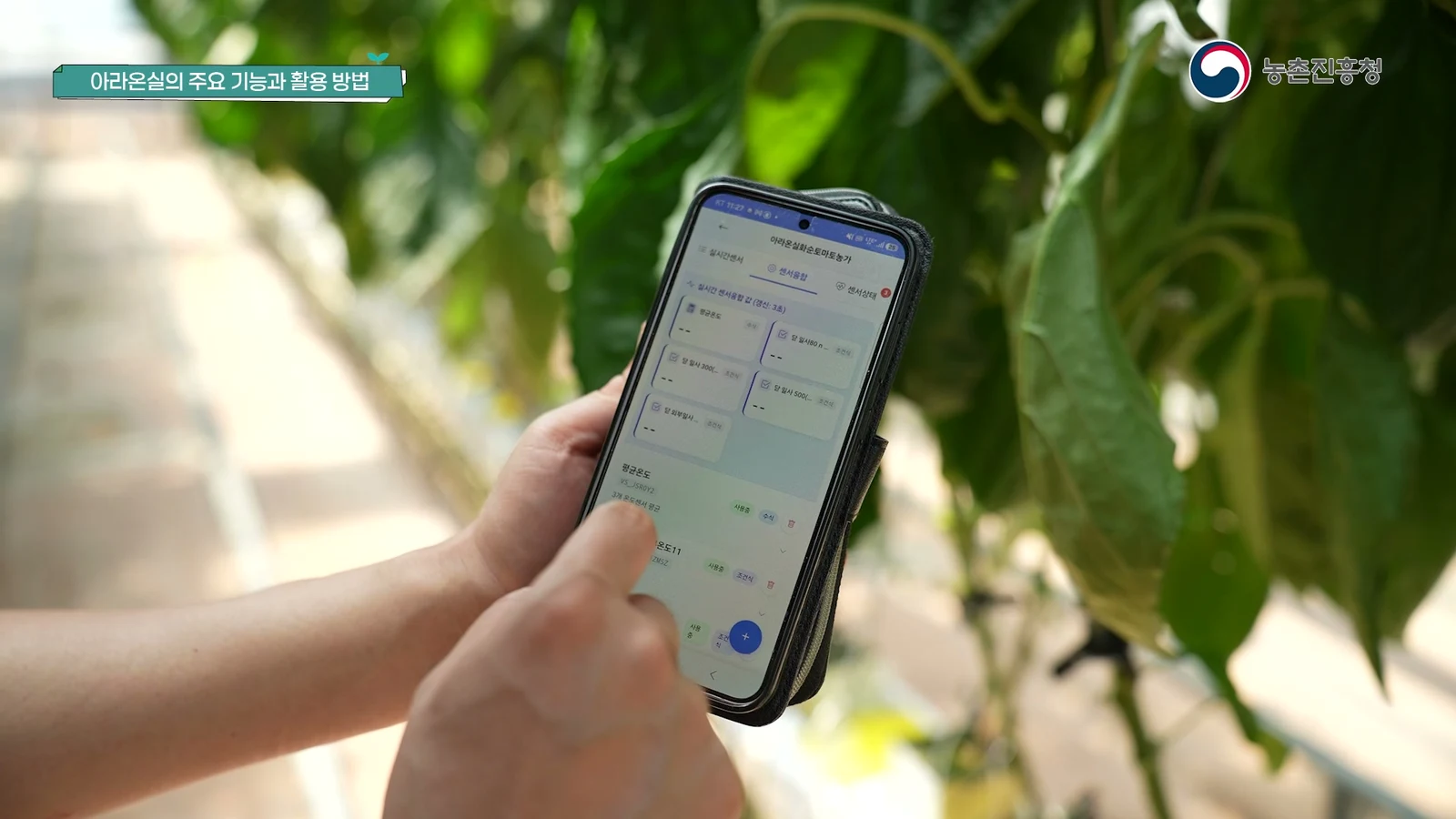 얼굴 없이 손과 휴대전화만 보이는 모바일 정보 조회 화면